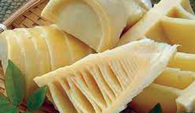 Măng tre có tác dụng gì, ăn măng tre có tốt không ?