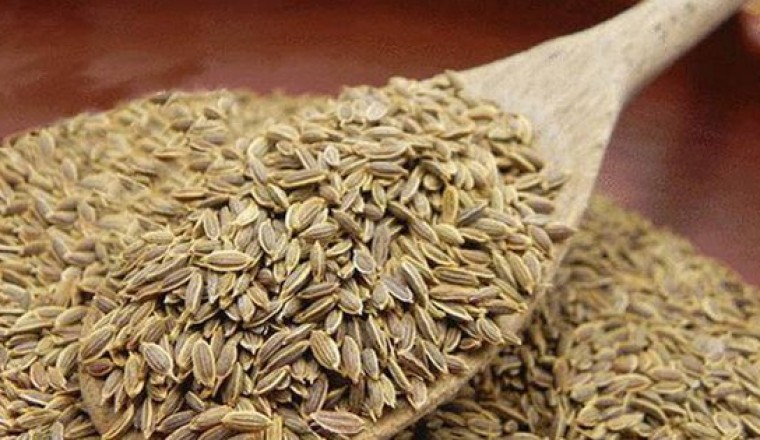 Tác dụng của hạt Thì Là