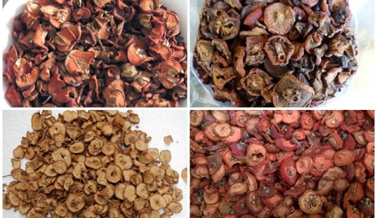 Bài thuốc nam dùng giảm béo từ quả Táo Mèo, Sơn Tra