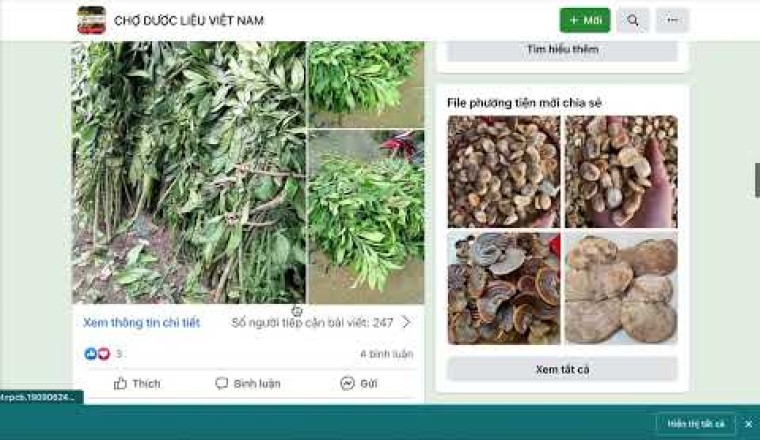 Thông tin mua bán trên trên CHỢ DƯỢC LIỆU VIỆT NAM