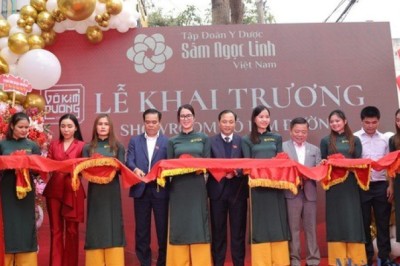 Kiểm điểm phó chủ tịch huyện xác nhận 'khống' về sâm Ngọc Linh