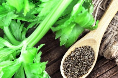 Thuốc từ hạt cần tây giúp tăng khả năng hồi phục sau đột quỵ