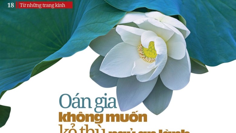 Oán gia không muốn kẻ thù ngủ an lành