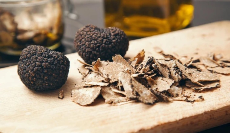 Lão nông đào được 'Nấm đen như đá đen xì tỏa mùi thơm, chuyên gia nói: 1 tỷ chỉ mua được 2 kg