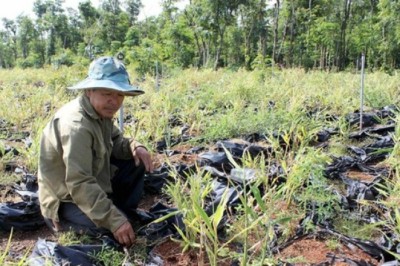 Ký hợp đồng liên kết bao tiêu nông sản rồi Bùng Cty Nông sản sạch Việt Nam bị công an điều tra