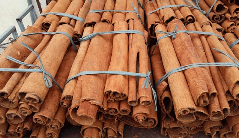 Việt Nam xuất khẩu hơn 43 nghìn tấn quế trong nửa đầu năm
