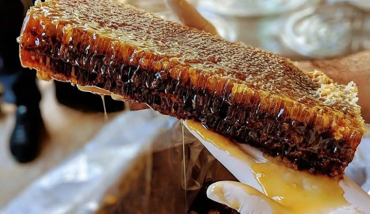 Loại mật ong đắt nhất thế giới, được mệnh danh là Mật ong của các vị thần