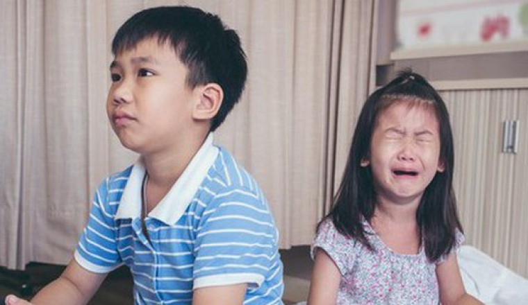 Tại sao có chuyện anh chị em trong nhà ghét nhau như 'chó với mèo'?