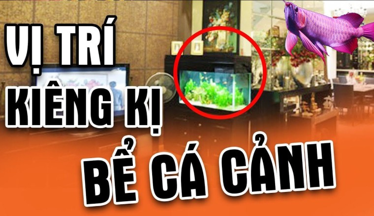 5 vị trí đại kỵ không đặt bể cá cảnh: Gia chủ lục đục, tài sản ngày càng khánh kiệt