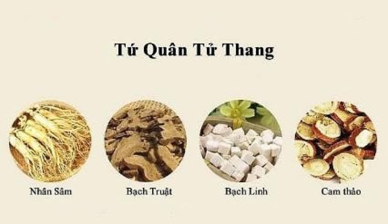 Bài thuốc 'Tứ quân tử thang', 'Lục quân tử thang', 'Lục vị địa hoàng thang', 'Tri bá địa hoàng thang' đây là 4 bài thuốc hỗ trợ phục hồi di chứng viêm não