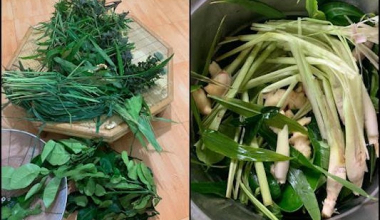 Bài thuốc nam chữa Cảm Lạnh đã lưu truyền trong dân gian từ thời ông cha