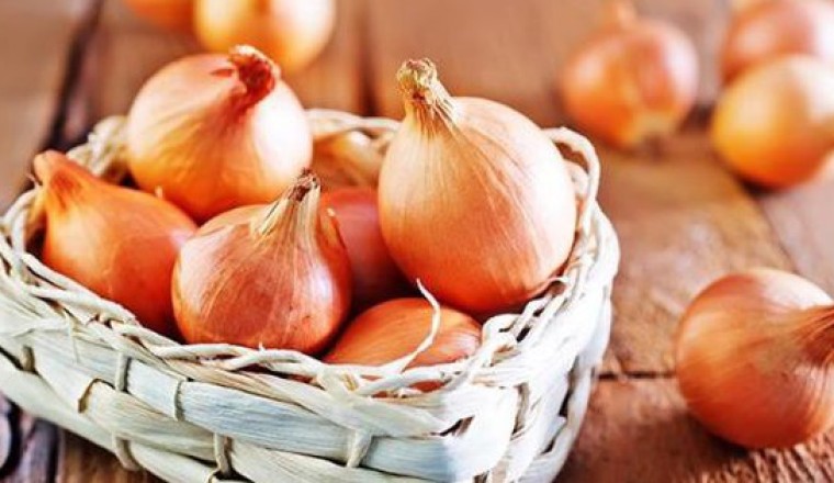 Hành tây loại rau là gia vị cũng là thuốc tốt cho sức khoẻ người dùng