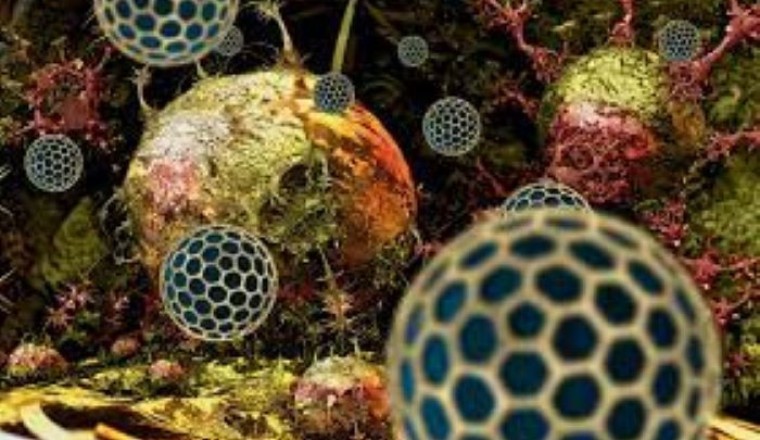 Nga phát triển thành công nanopolymer ngăn chặn sự phát triển của khối u ung thư
