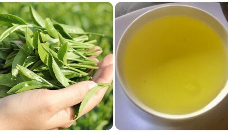 Những tác dụng phụ của việc uống trà xanh
