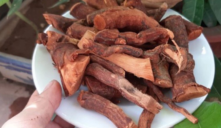 Triệu chứng ngộ độc đáng sợ do uống nước cây Mú Từn: La hét, hoảng loạn, nói nhảm, đập phá...