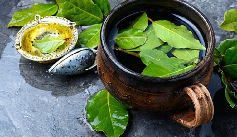 Trà Nguyệt Quế có tác dụng gì, cách làm trà nguyệt quế