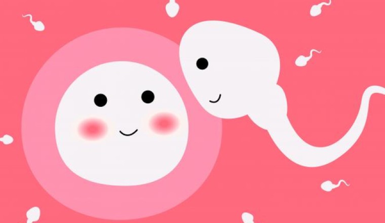Nguyên nhân gây vô sinh ở cả nam và nữ giới ít ai ngờ đến