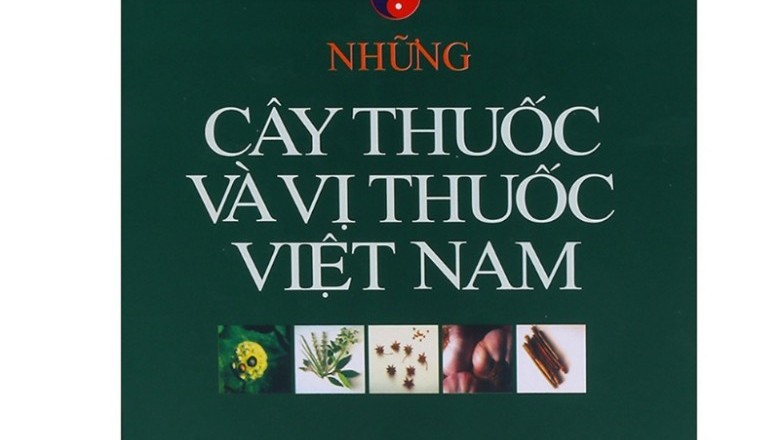 Khám Phá Kho Tàng Dược Liệu Quý Từ "Những Cây Thuốc và Vị Thuốc Việt Nam" của Đỗ Tất Lợi