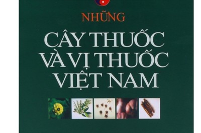 Khám Phá Kho Tàng Dược Liệu Quý Từ 