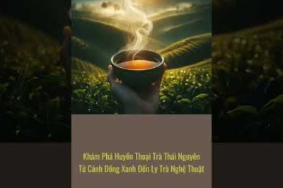 Khám Phá Huyền Thoại Trà Thái Nguyên: Từ Cánh Đồng Xanh Đến Ly Trà Nghệ Thuật #kinhnghiemsong