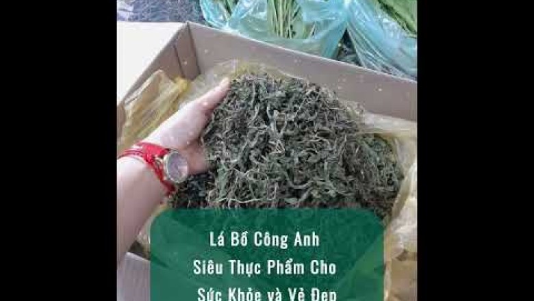 Lá Bồ Công Anh: Siêu Thực Phẩm Cho Sức Khỏe và Vẻ Đẹp #LáBồCôngAnh #SứcKhỏeTựNhiên #GiảiĐộcCơThể
