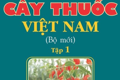 Khám Phá Bí Mật Của Tự Nhiên Với 'Từ Điển Cây Thuốc Việt Nam' - Tác phẩm Bất Hủ của Giáo Sư Võ Văn Chi