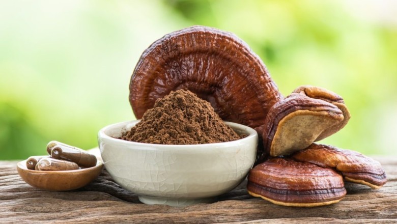 Nghiên Cứu Khoa Học Về Nấm Linh Chi: Tổng Hợp và Phân Tích Các Bằng Chứng