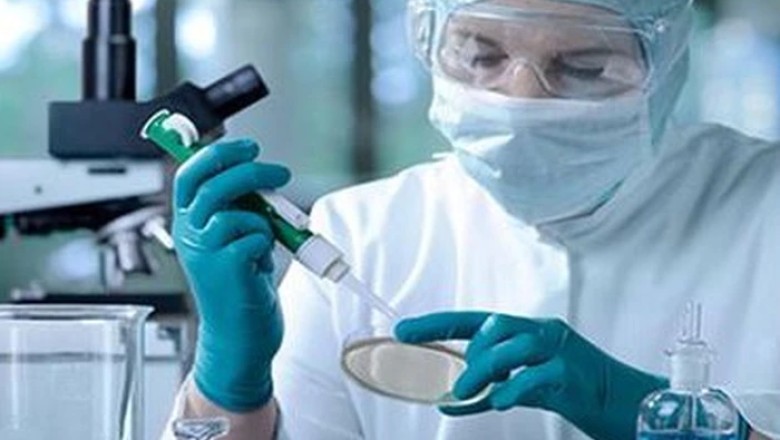 Cây Thuốc Nam Và Khoa Học Hiện Đại: Sự Giao Thoa Giữa Truyền Thống và Công Nghệ