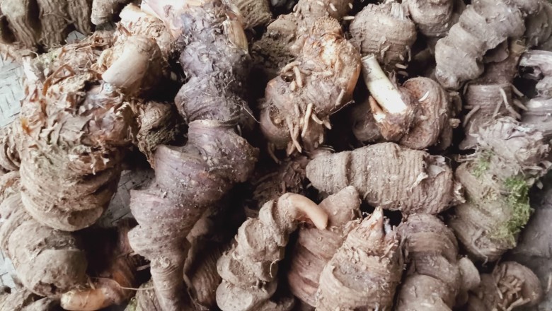 Cây Trọng lâu, Hươu túc nhiều lá, thất diệp nhất chi hoa, độc cước liên, thiết đăng đài, chi hoa đầu, tảo hưu, thảo hà xa