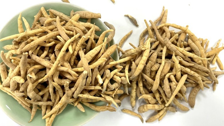 Thái Tử Sâm (Pseudostellaria Heterophylla): Tăng Cường Sức Khỏe Đường Ruột Qua Điều Chỉnh Hệ Vi Sinh Vật