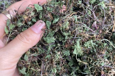Rau Má Khô - Giải Pháp Tuyệt Vời Cho Sức Khỏe Từ Thiên Nhiên