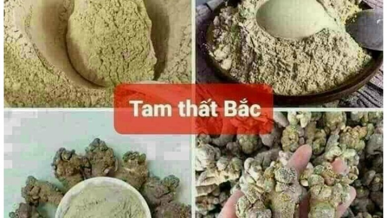 Lợi Ích Sức Khỏe của Cây Tam Thất (Panax notoginseng)
