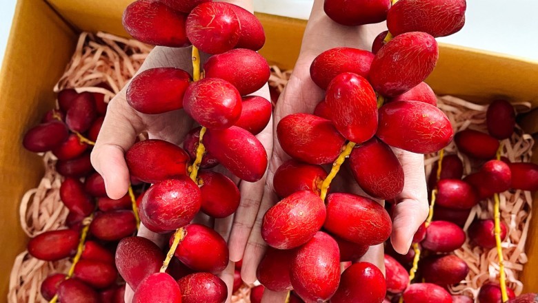 Chà Là Đỏ: 'Viên Vitamin Tự Nhiên' Với Nhiều Lợi Ích Sức Khỏe