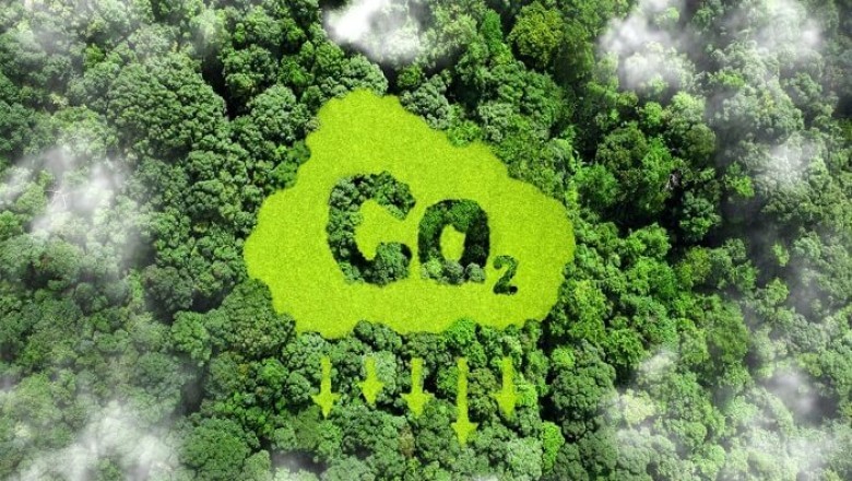 Cảnh Báo Về Dấu Hiệu Trục Lợi Tín Chỉ Carbon Thông Qua Thỏa Thuận Hợp Tác Viện Trợ