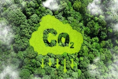 Cảnh Báo Về Dấu Hiệu Trục Lợi Tín Chỉ Carbon Thông Qua Thỏa Thuận Hợp Tác Viện Trợ