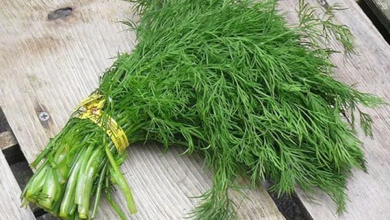 Loại Rau Người Việt Ai Cũng Biết Hóa Ra Là Dược Liệu Quý Từ Hàng Nghìn Năm Trước