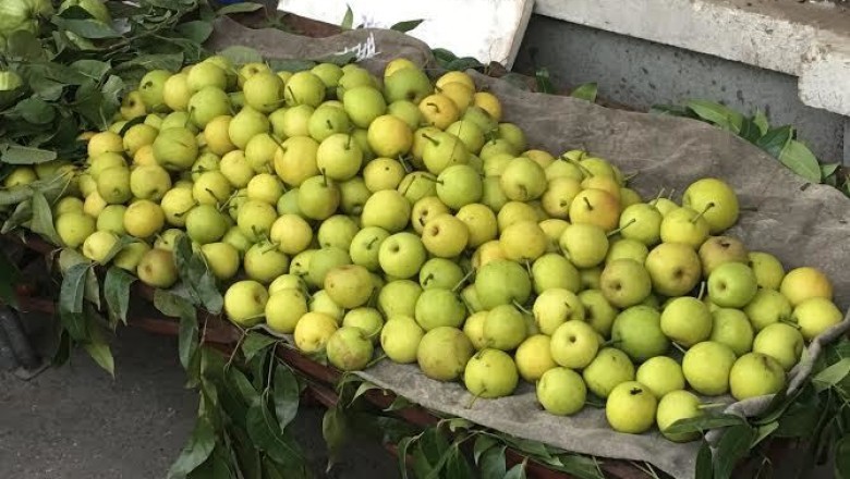 Tác Dụng, Cách Sử Dụng Và Tác Dụng Phụ Của Quả Lê