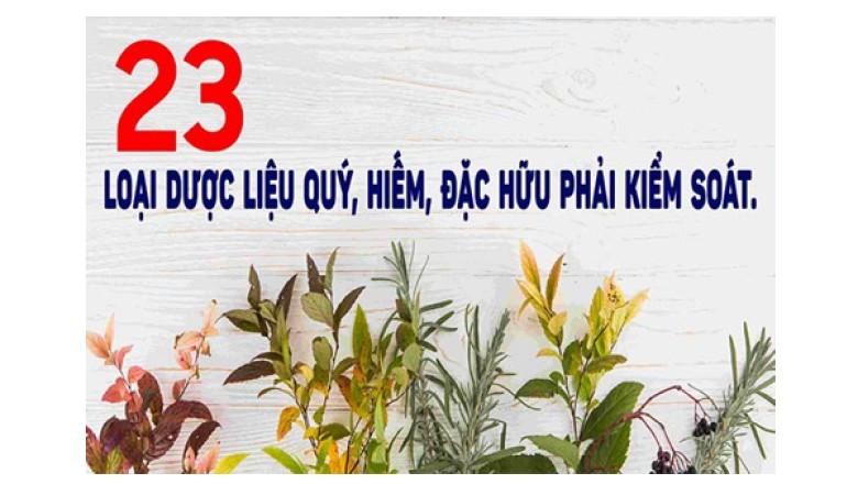 23 Cây Dược Liệu Quý Hiếm: Tinh Hoa Y Học Cổ Truyền Việt Nam