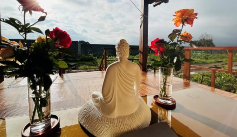 Cuộc đời là một ngôi trường – nơi đào tạo ra những vị Phật