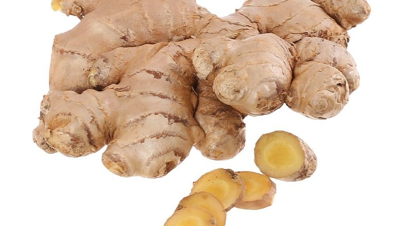 Cây Gừng – Vị Thuốc Dân Gian Hỗ Trợ Tiêu Hóa &amp; Dạ Dày
